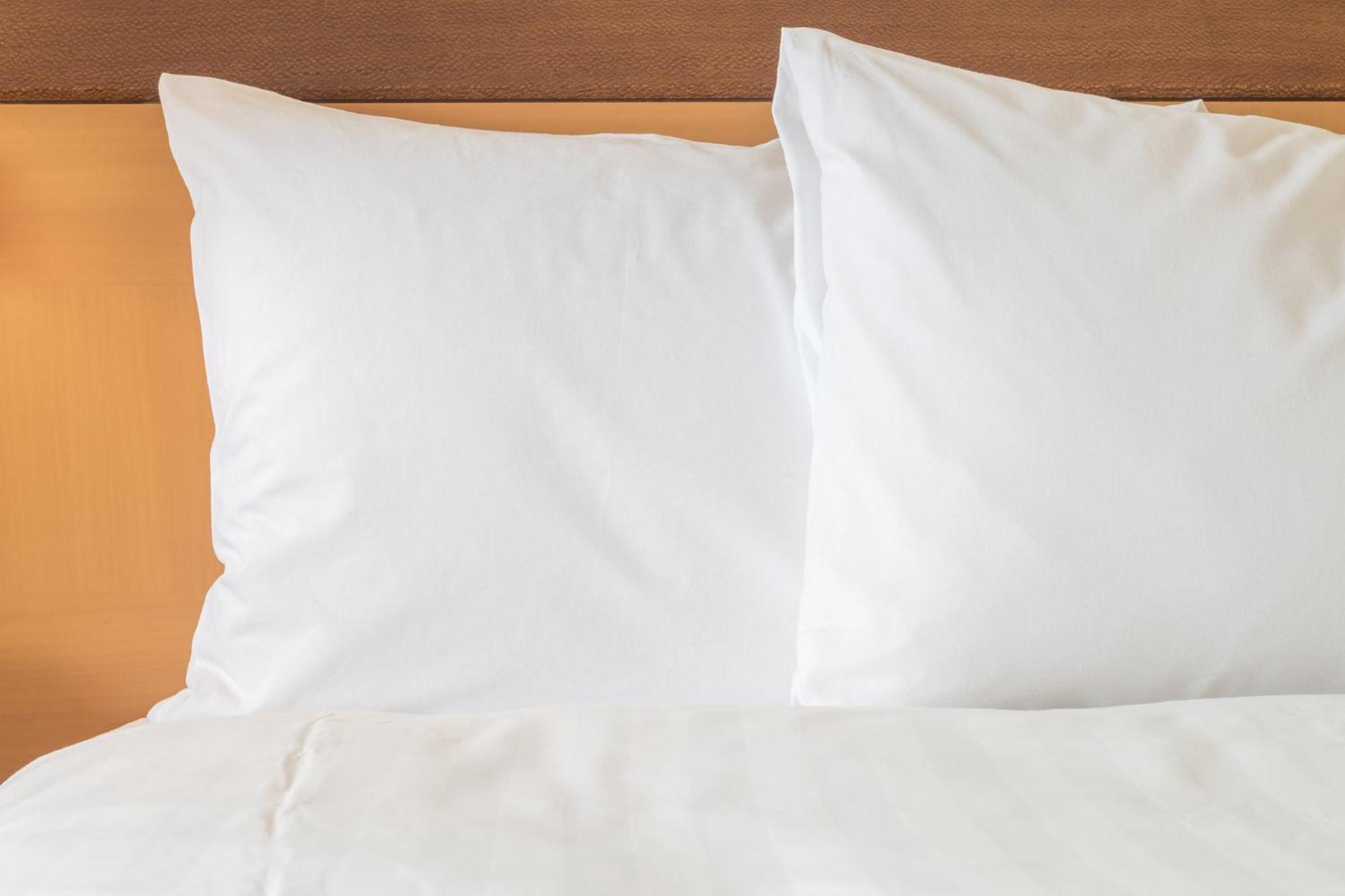 Holiday Inn Express South Burlington - Downtown By Ihg Extérieur photo